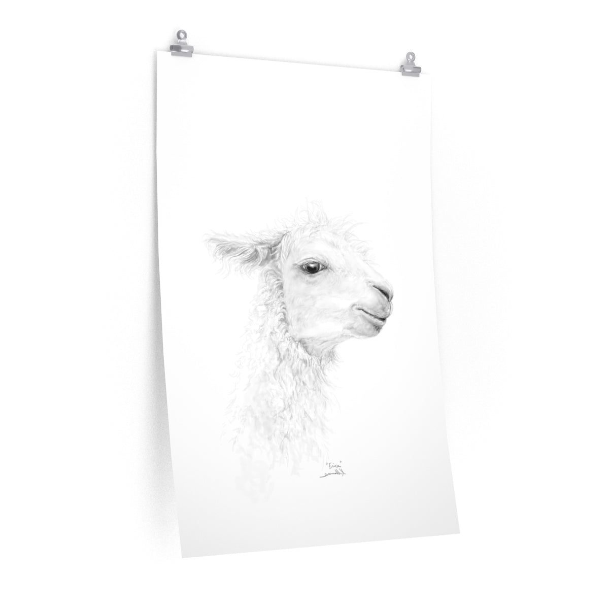 ERICA Llama- Art Paper Print