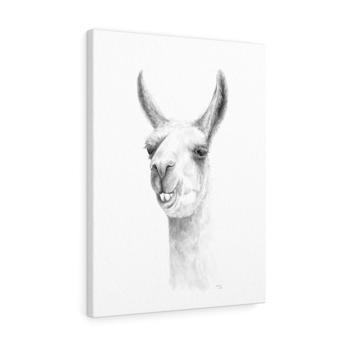 Magdalena Llama - Art Canvas