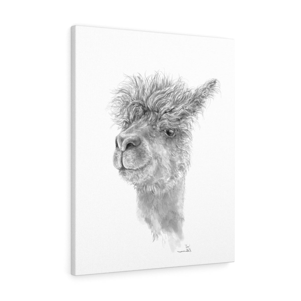COCO Llama - Art Canvas
