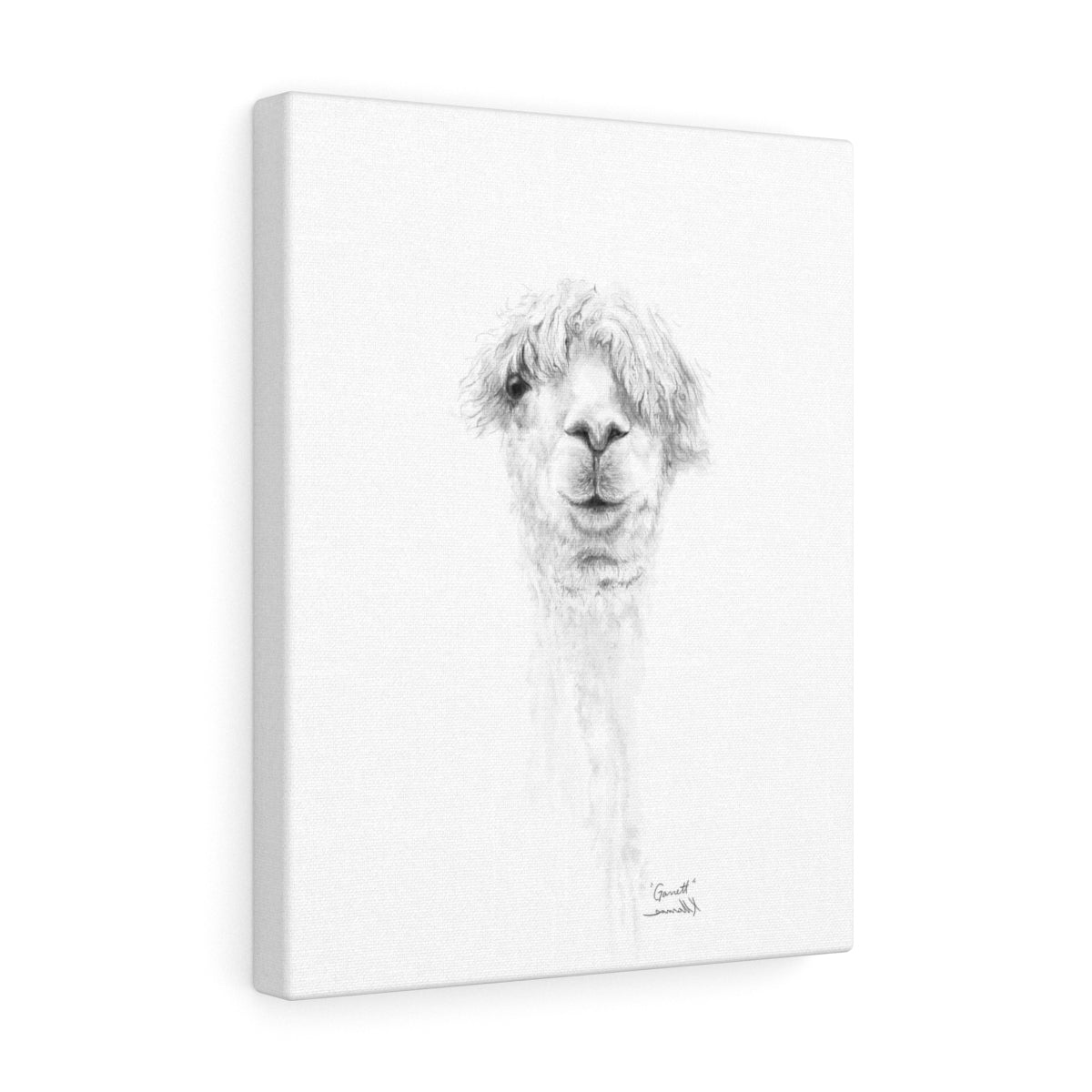 GARRETT Llama - Art Canvas
