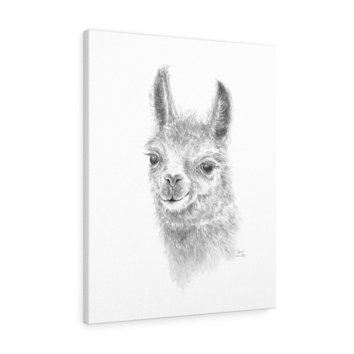 SARA Llama - Art Canvas