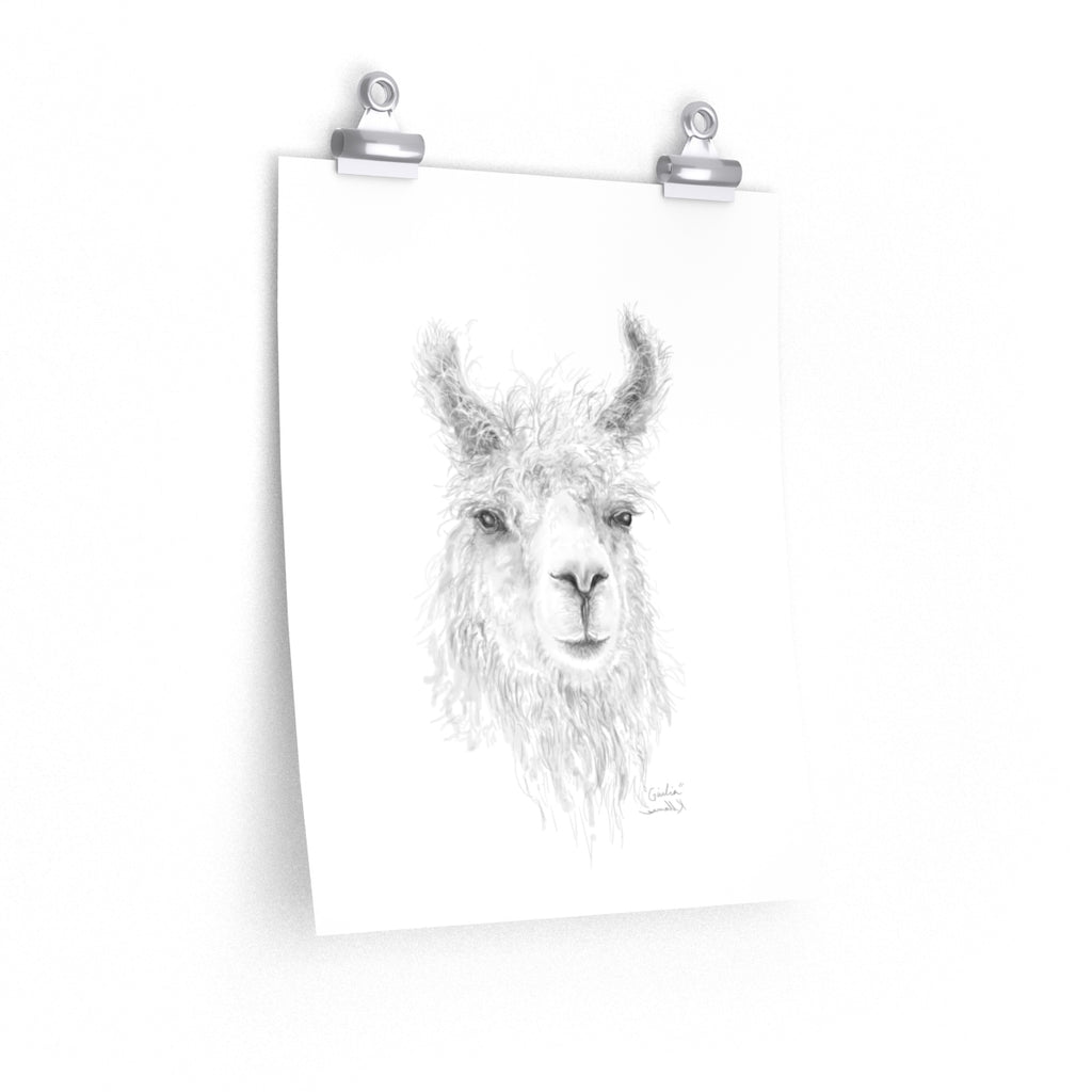 GIULIA Llama- Art Paper Print