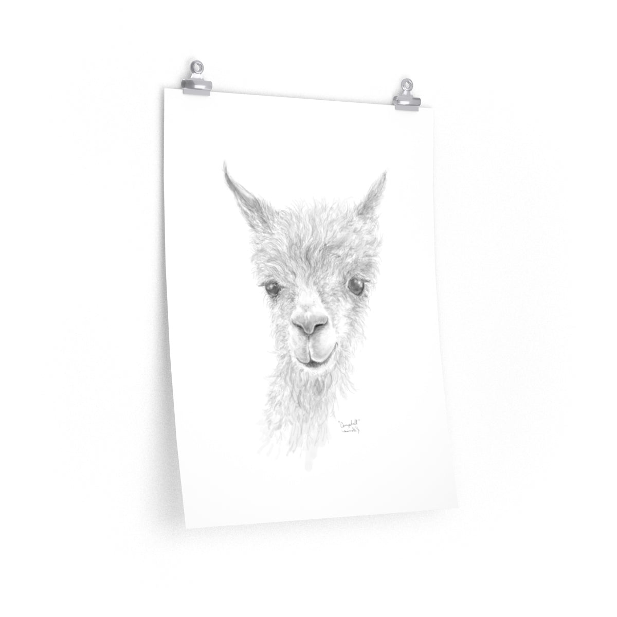 CAMPBELL Llama- Art Paper Print
