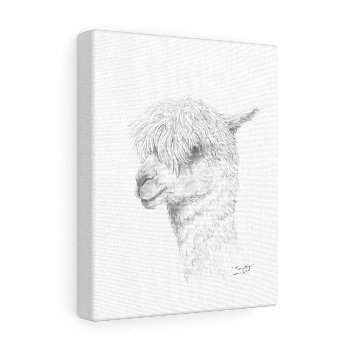 TIMOTHY Llama - Art Canvas
