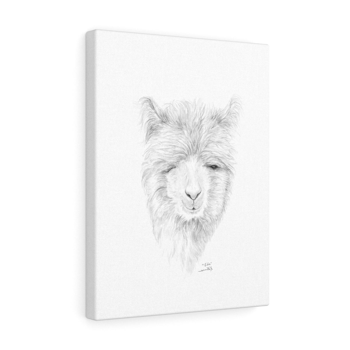 EDIE Llama - Art Canvas