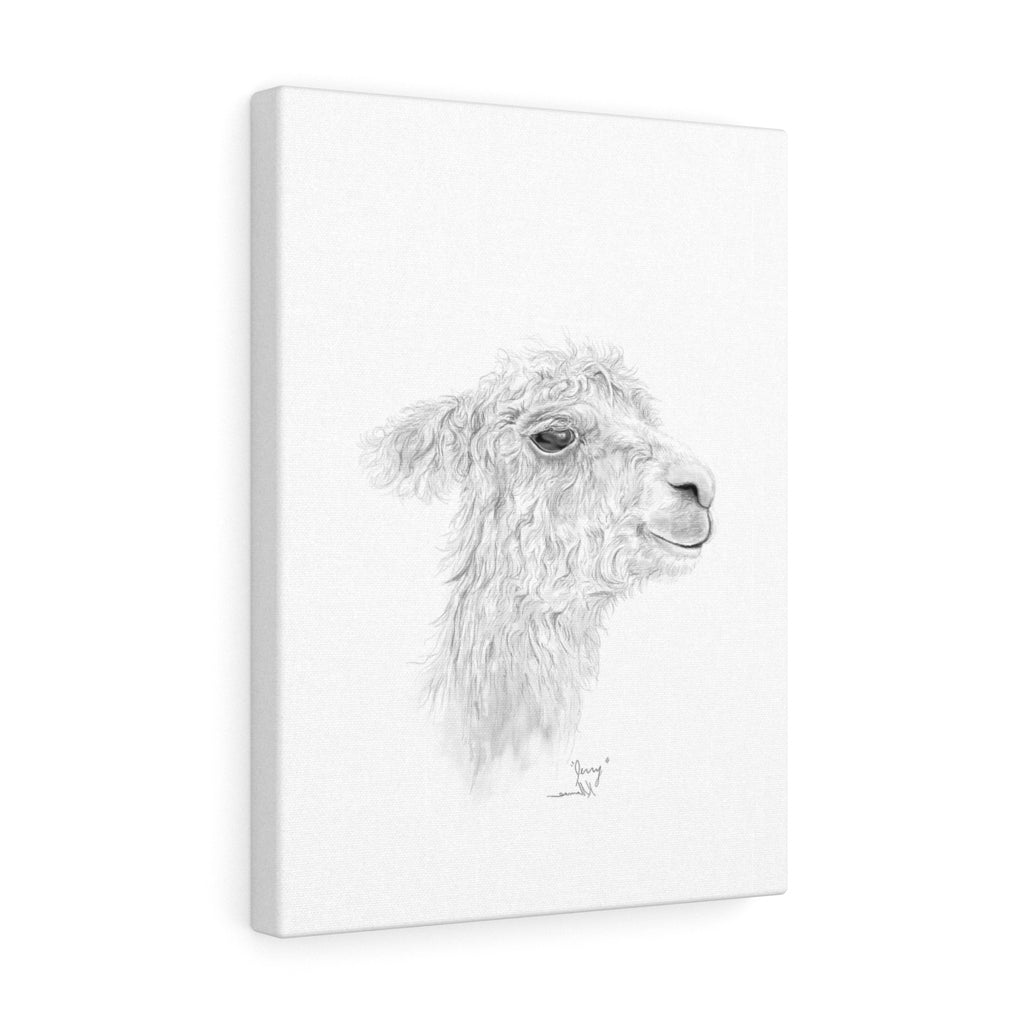 JERRY Llama - Art Canvas