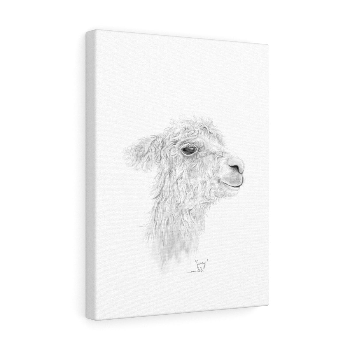 JERRY Llama - Art Canvas