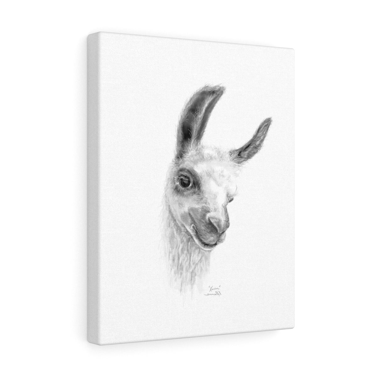 KARIN Llama - Art Canvas