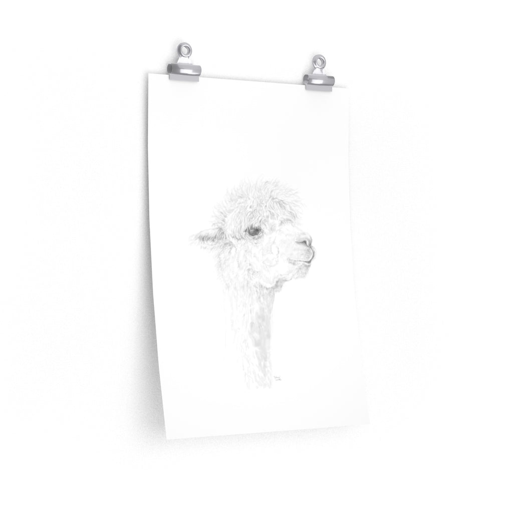 JULIANA Llama- Art Paper Print