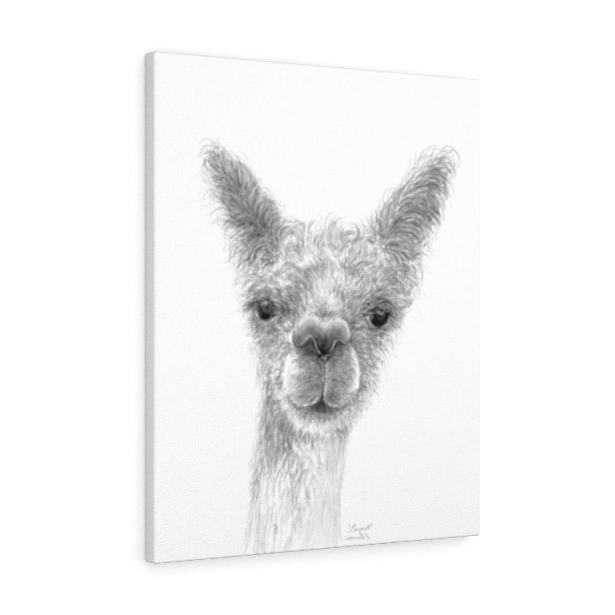 MARGARET Llama - Art Canvas