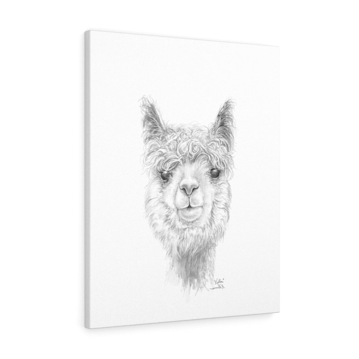 KELLEA Llama - Art Canvas