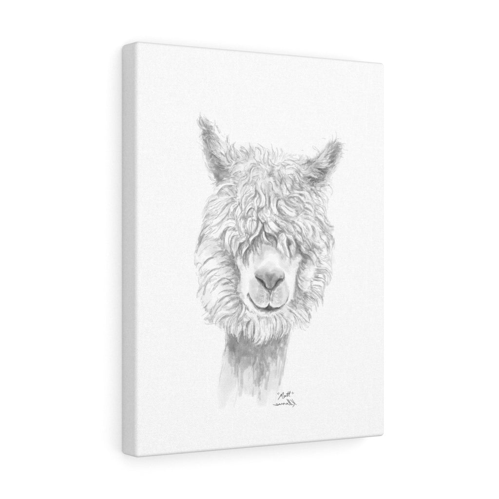 MATT Llama - Art Canvas