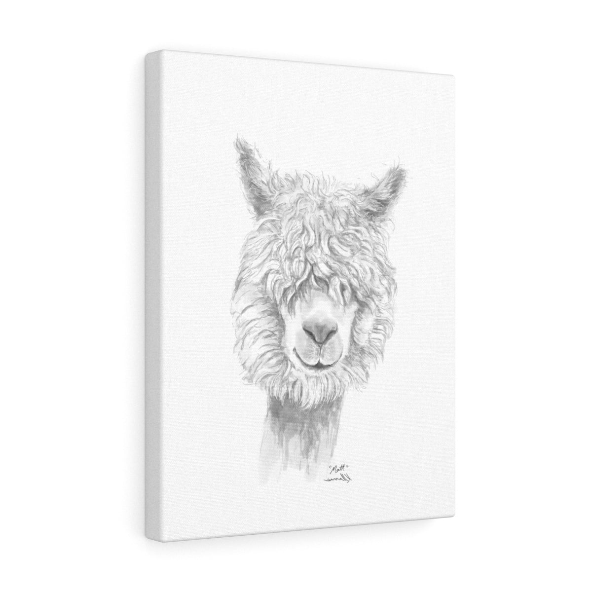 MATT Llama - Art Canvas