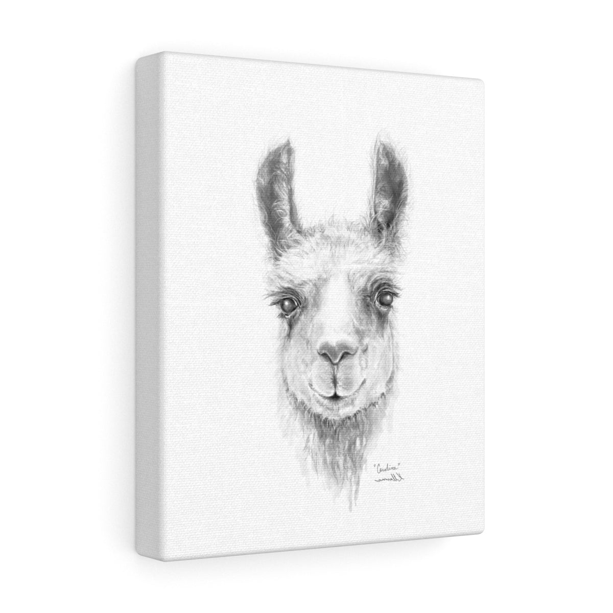 CAROLINE Llama - Art Canvas