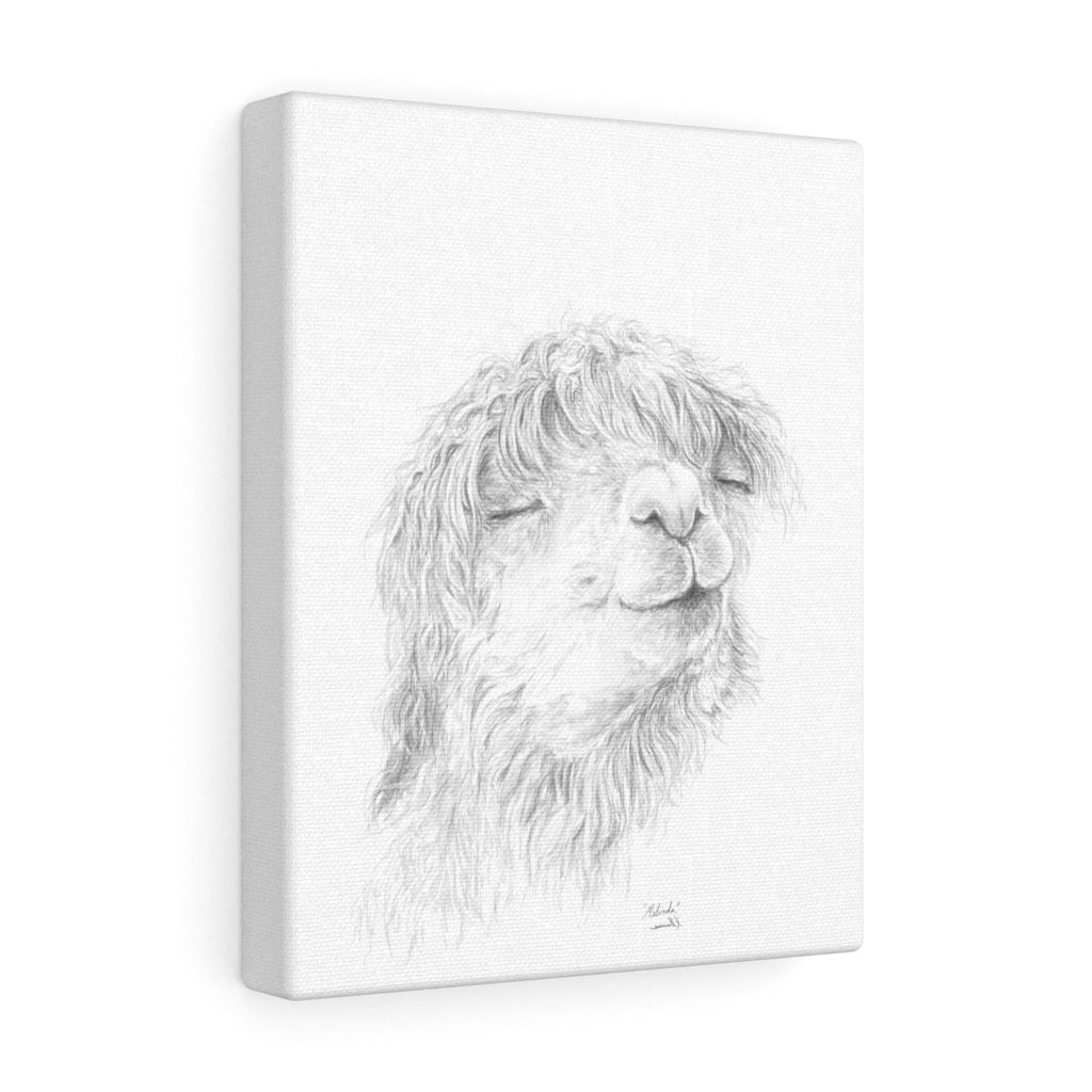 MELINDA Llama - Art Canvas