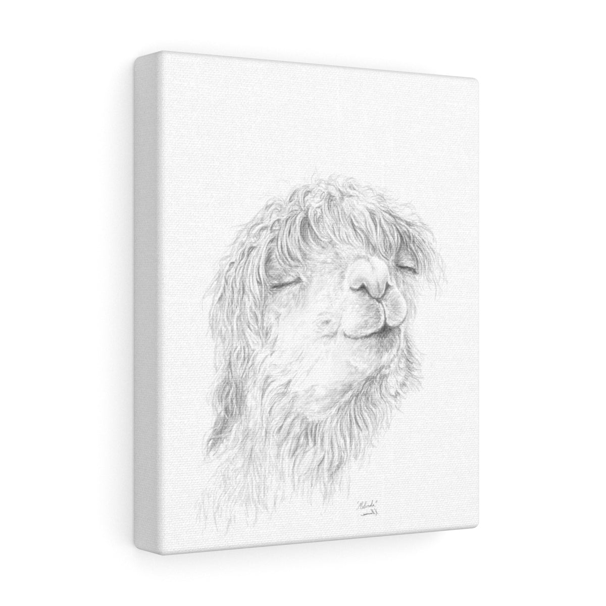 MELINDA Llama - Art Canvas