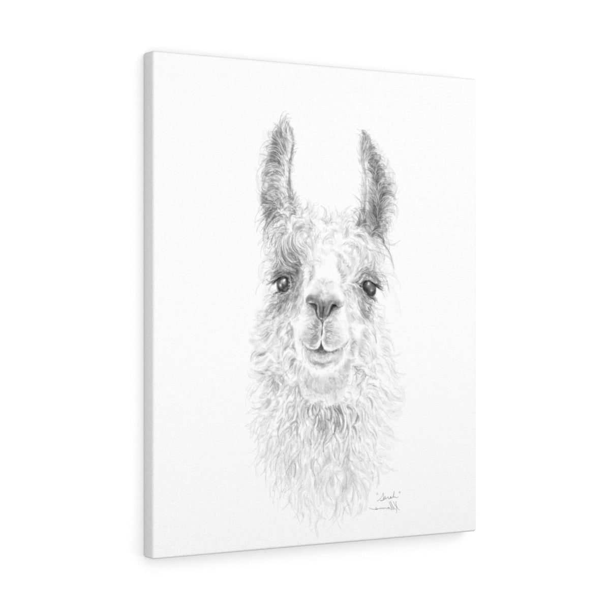 SARAH Llama - Art Canvas