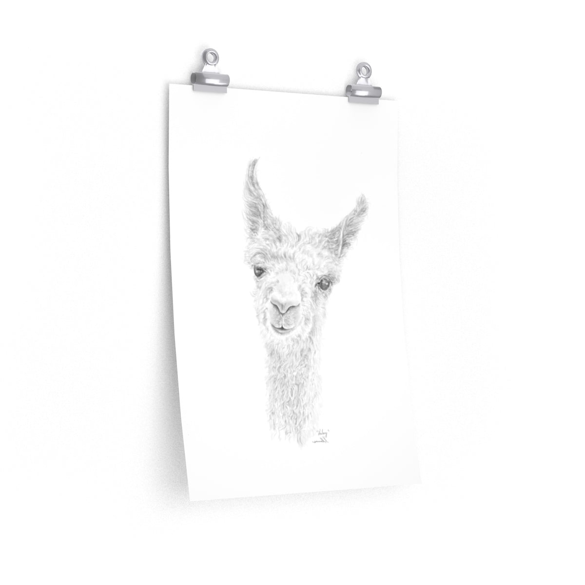 HALEY Llama- Art Paper Print