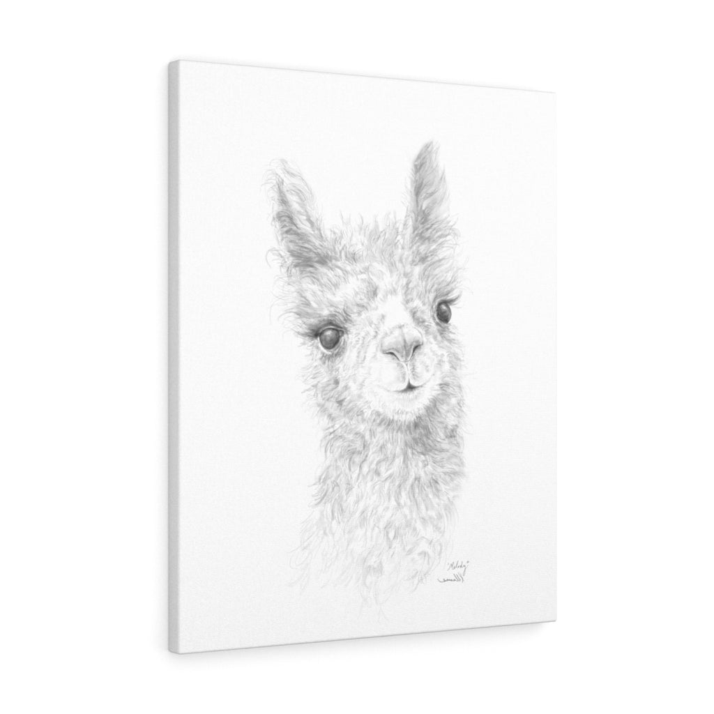 MELODY Llama - Art Canvas