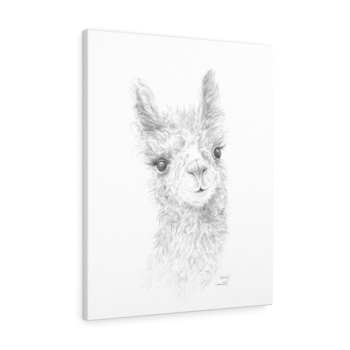 MELODY Llama - Art Canvas