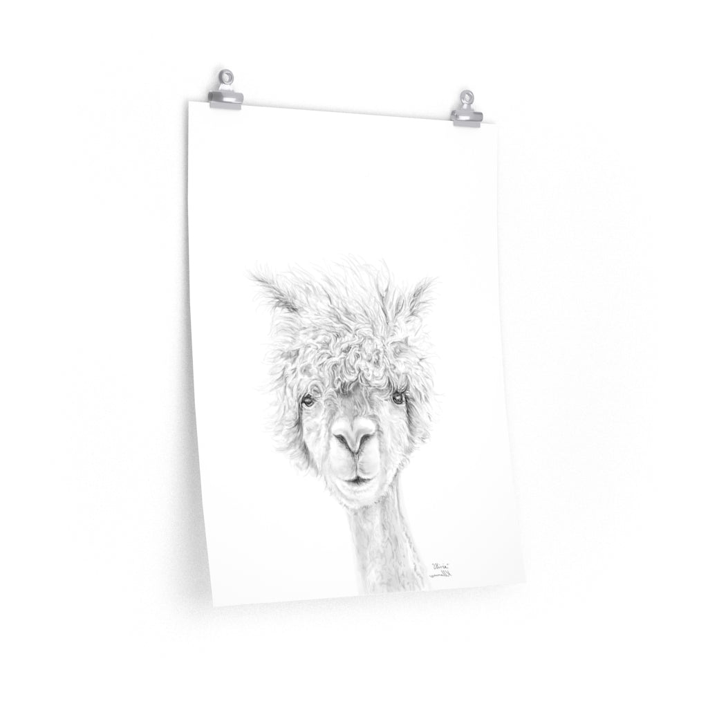 OLIVIA Llama- Art Paper Print