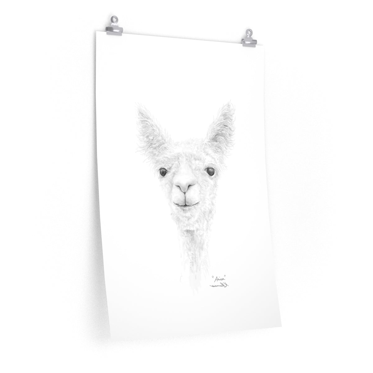 ANISA Llama- Art Paper Print