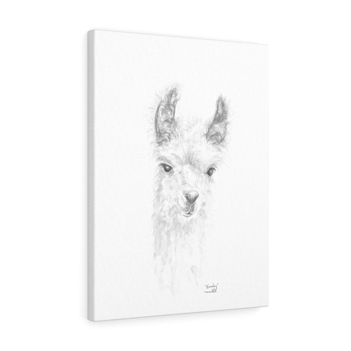 EMSLEY Llama - Art Canvas