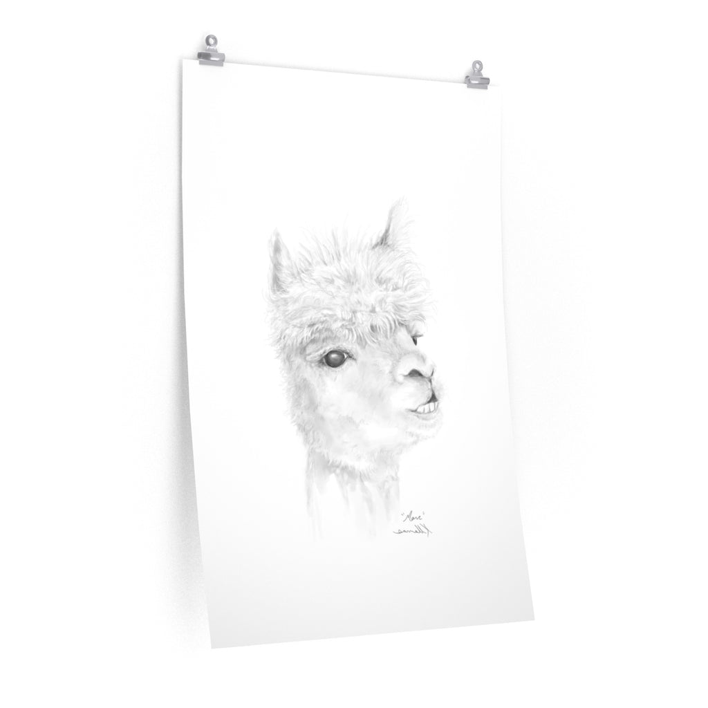 MARC Llama- Art Paper Print