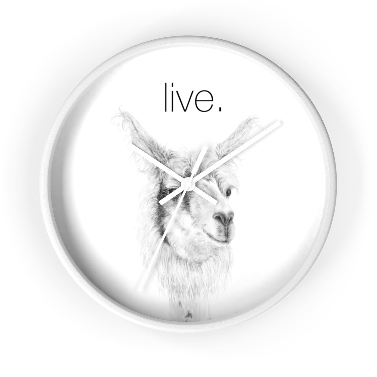 Llama LIVE Wall clock: ADAM