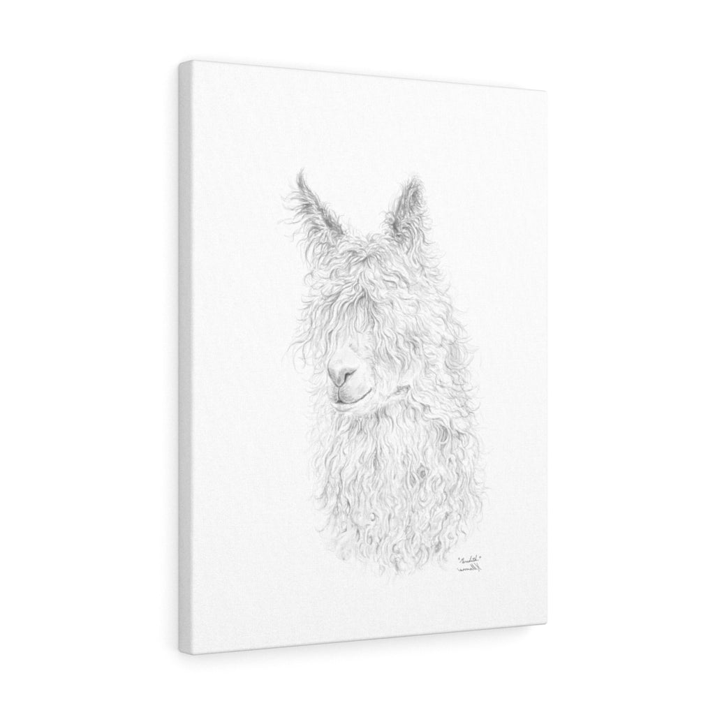 Meredith Llama - Art Canvas