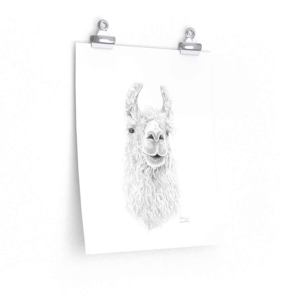 SABRINA Llama- Art Paper Print