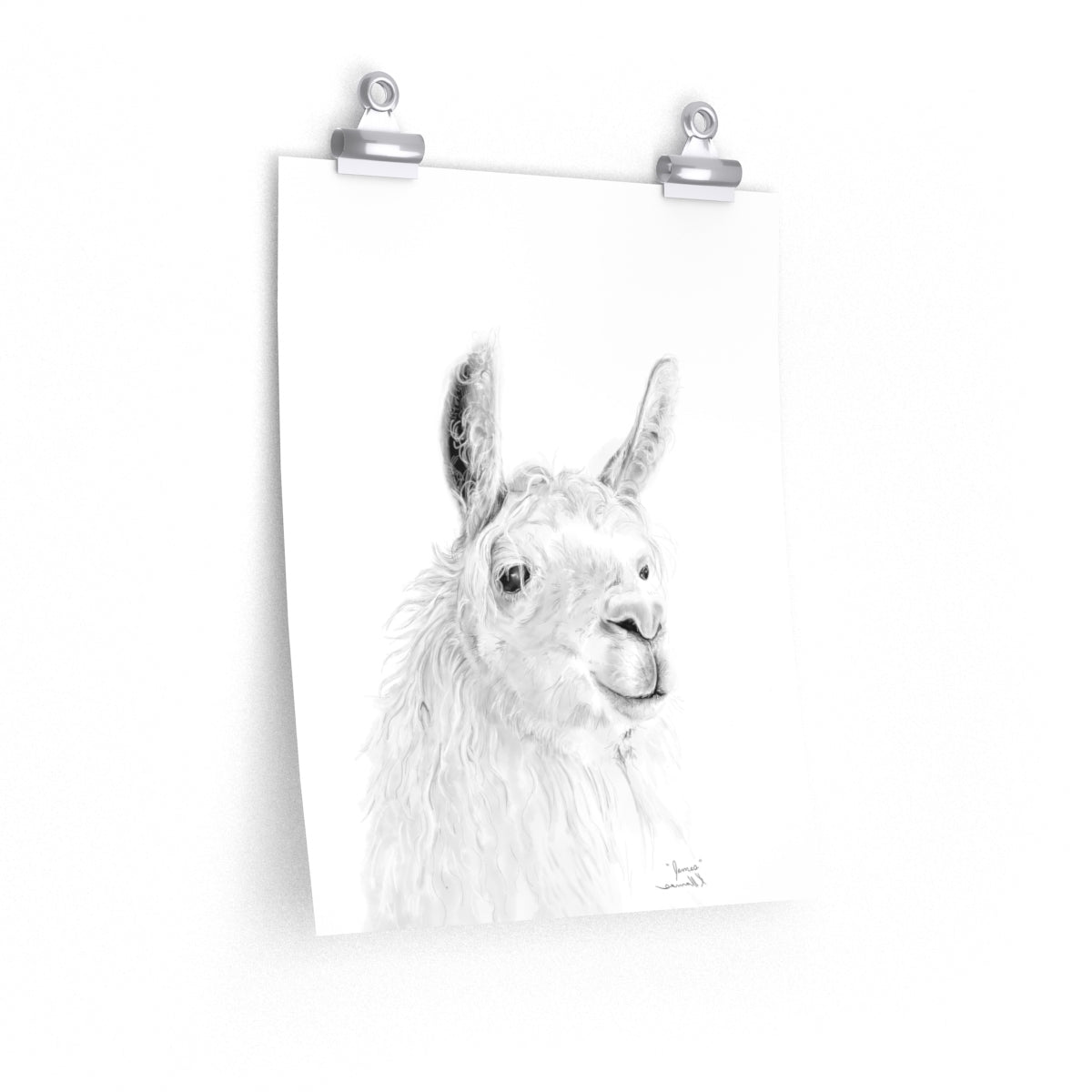 JAMES Llama- Art Paper Print