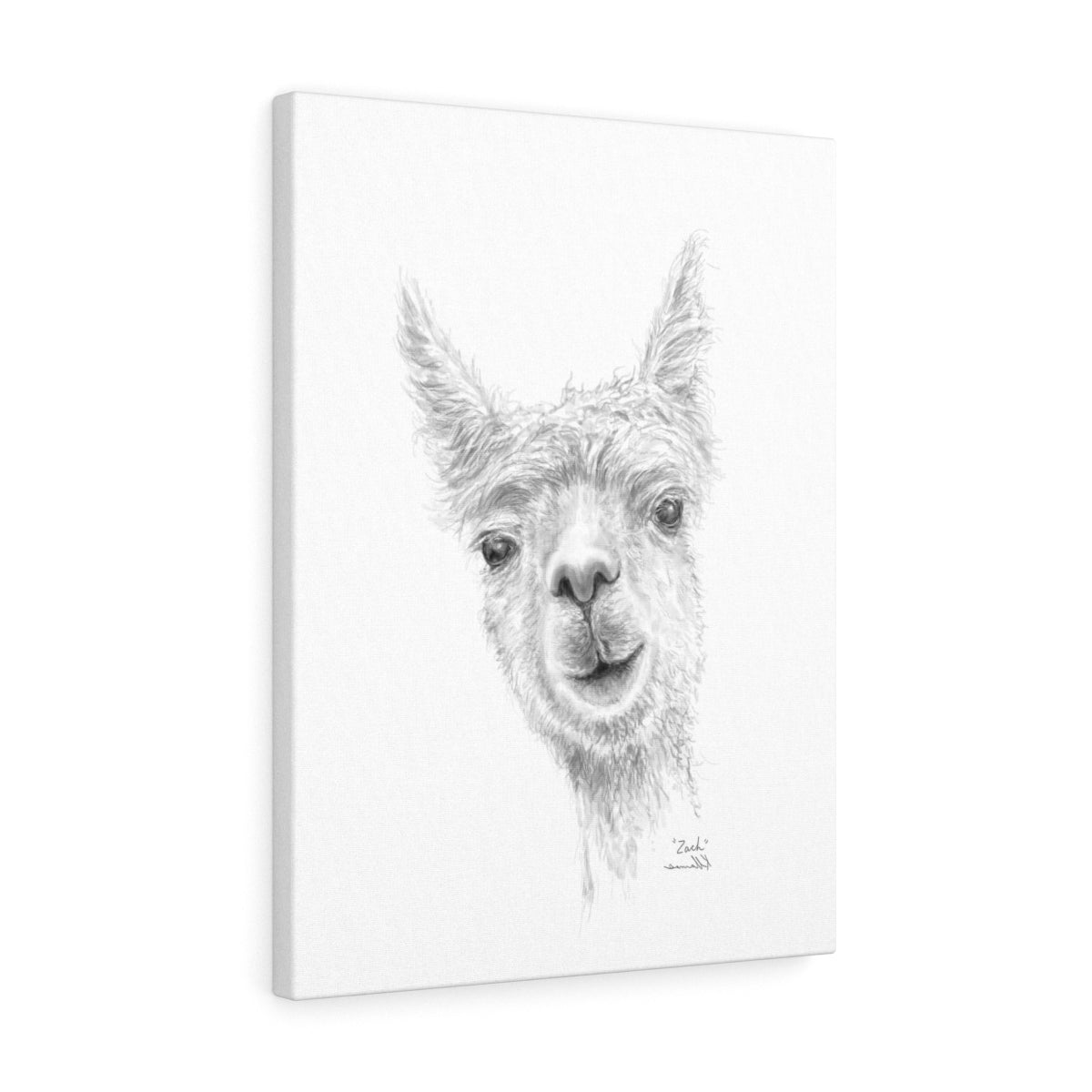 ZACH Llama - Art Canvas