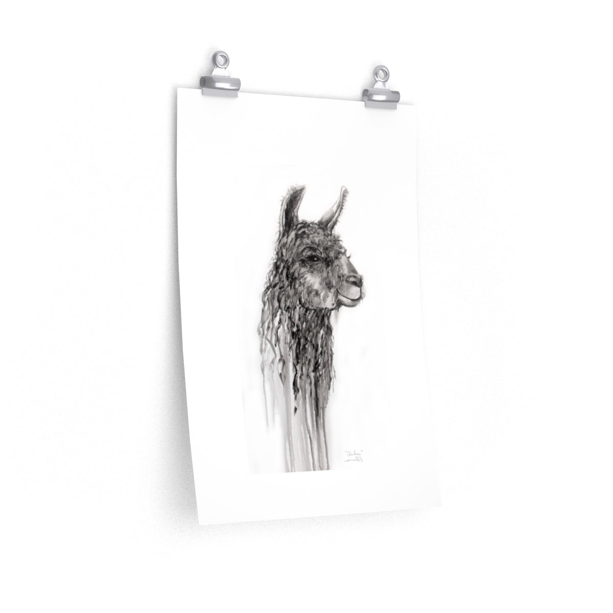 CHARLENE Llama- Art Paper Print