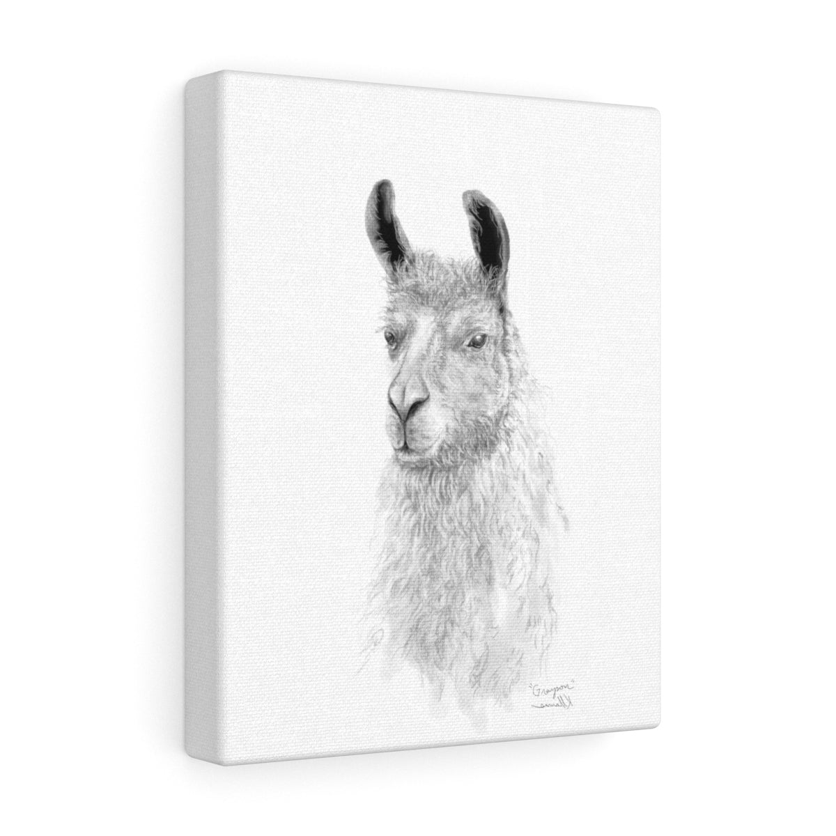 GRAYSON Llama - Art Canvas