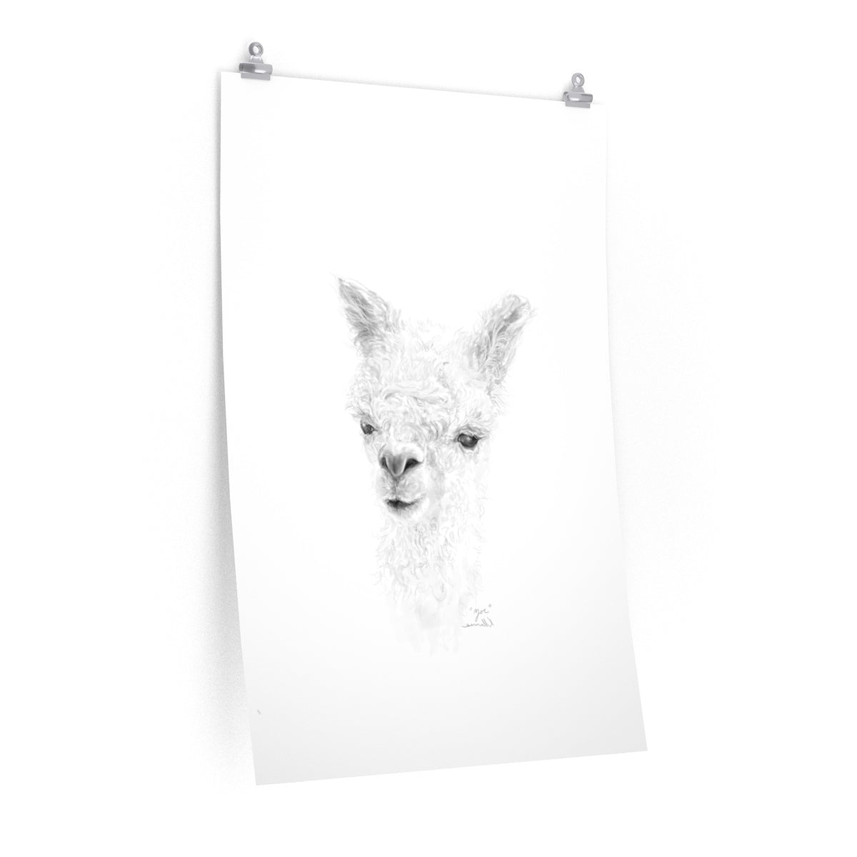 ZOE Llama- Art Paper Print