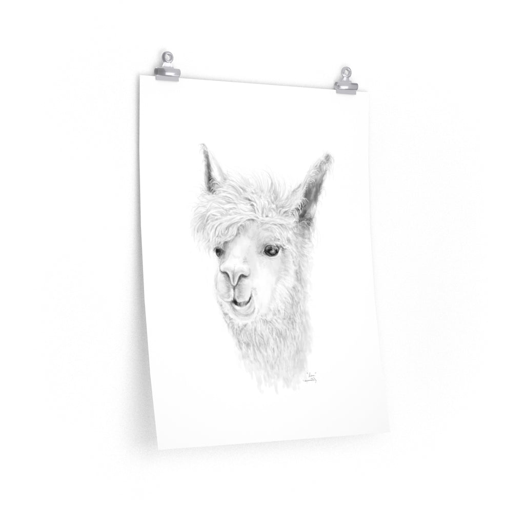 LIAM Llama- Art Paper Print