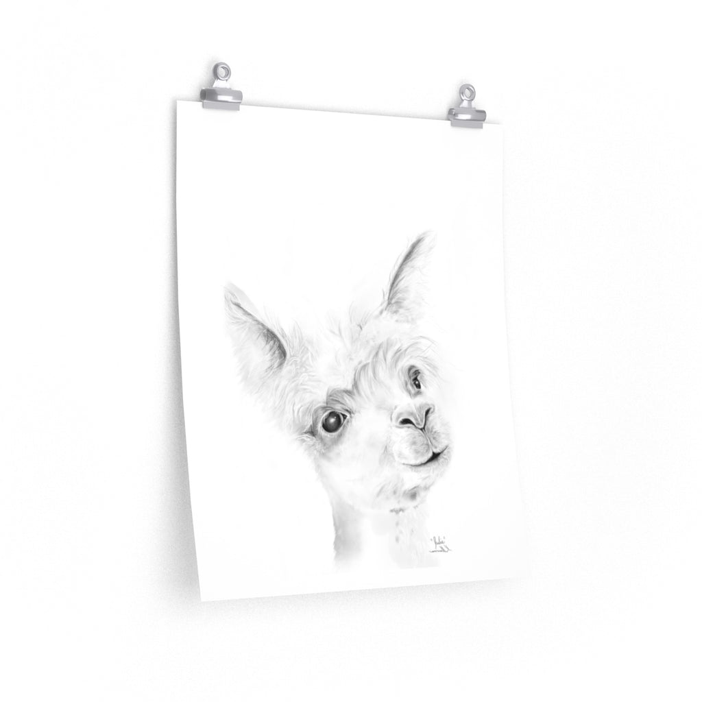 JULIE Llama- Art Paper Print
