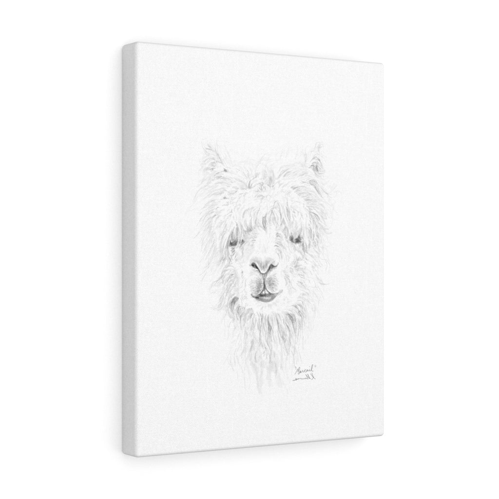 MARCAIL Llama - Art Canvas