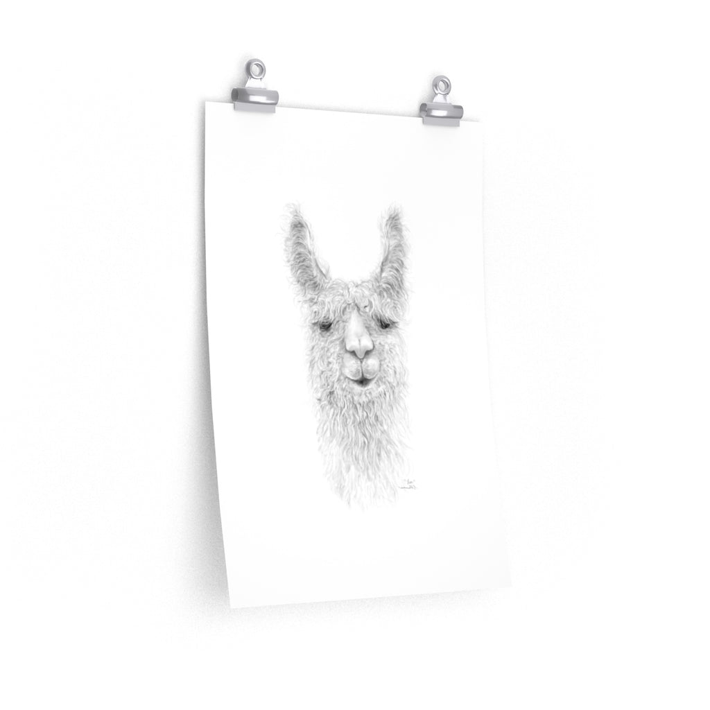 LEA Llama- Art Paper Print