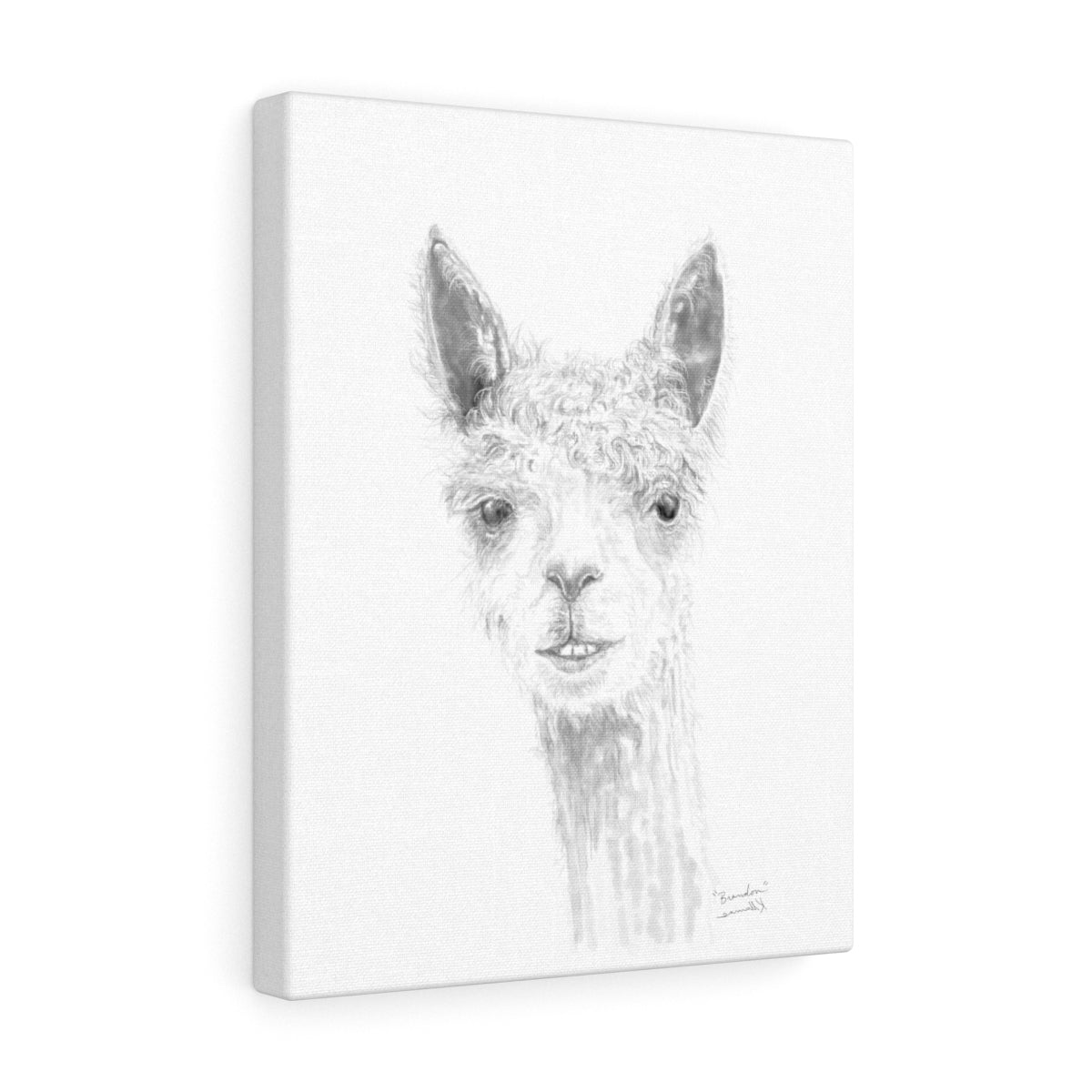 BRANDON Llama- Art Canvas