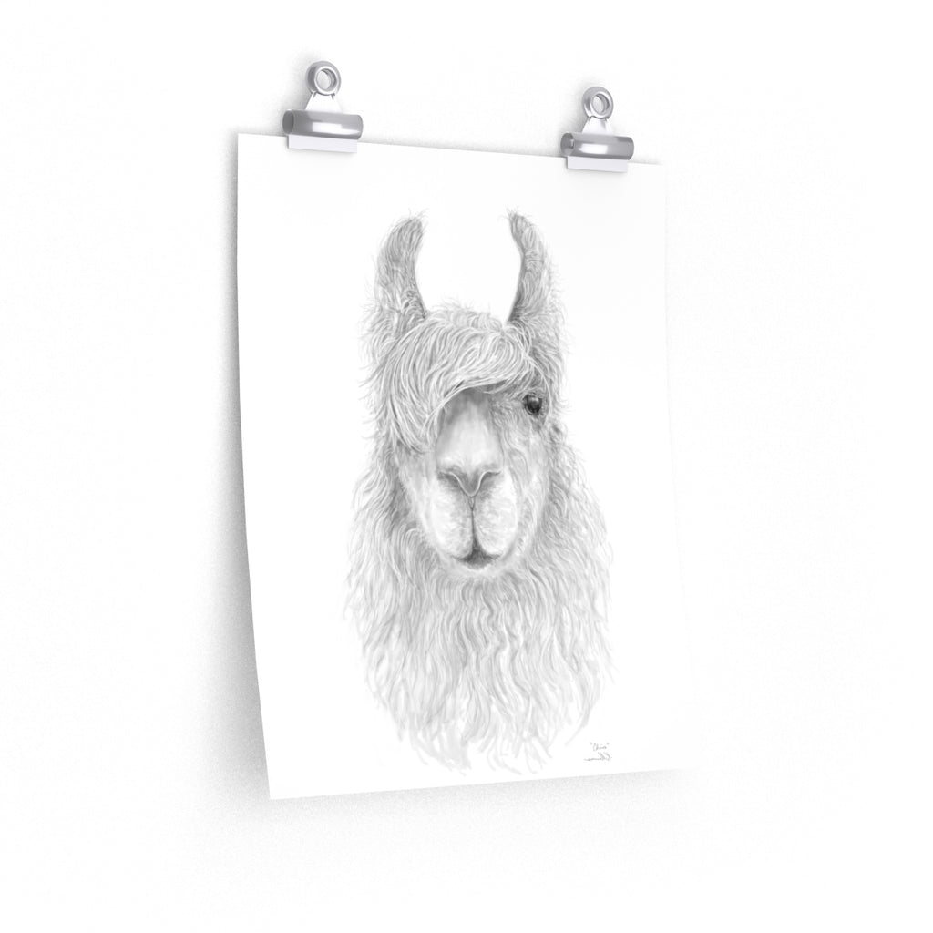 CHRIS Llama- Art Paper Print