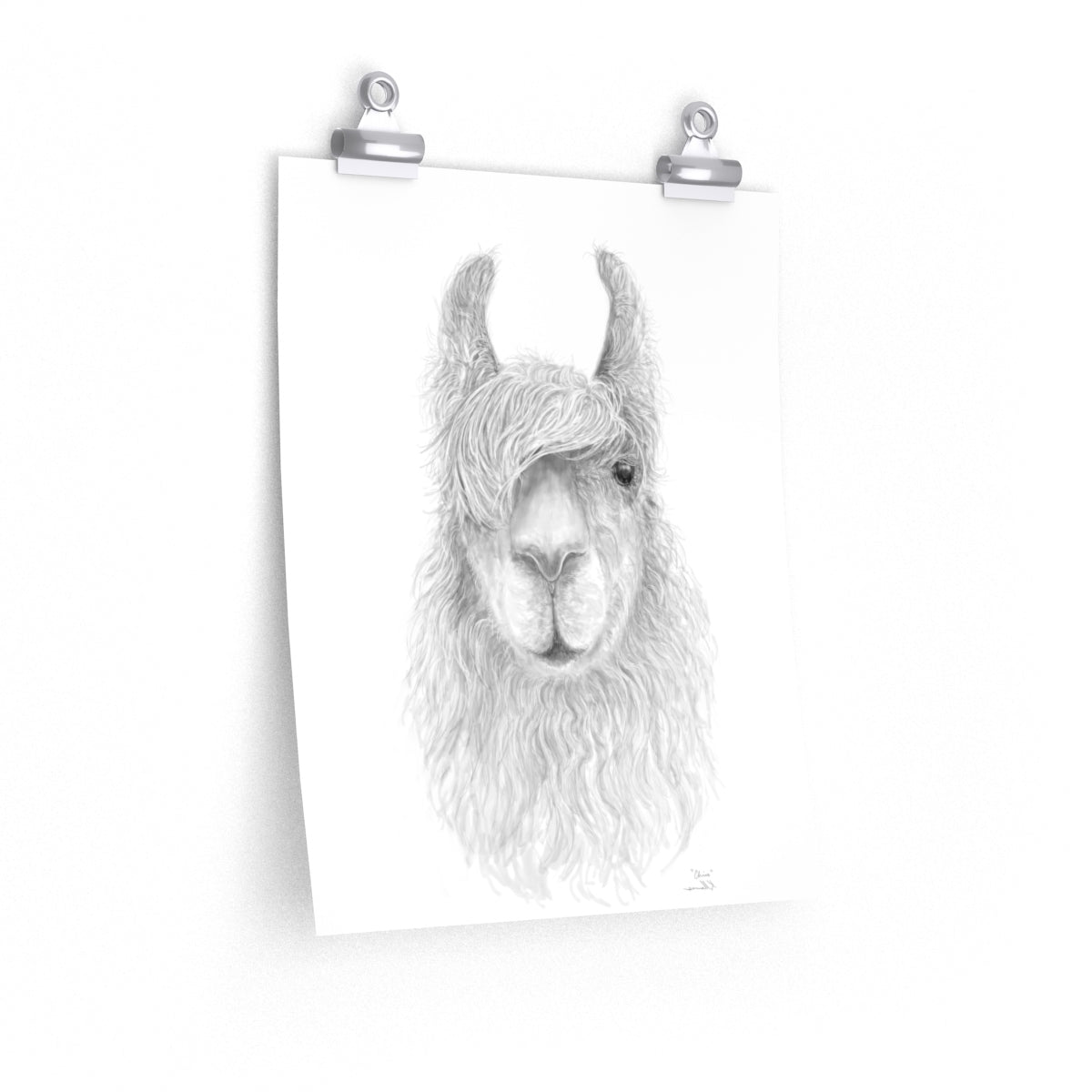 CHRIS Llama- Art Paper Print