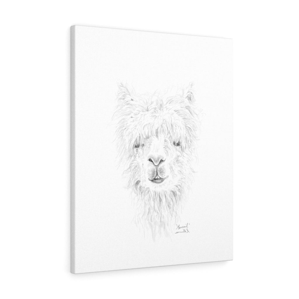 MARCAIL Llama - Art Canvas