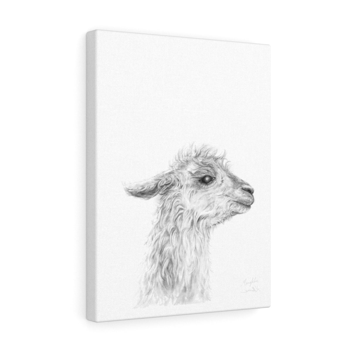 MENKHA - Canvas