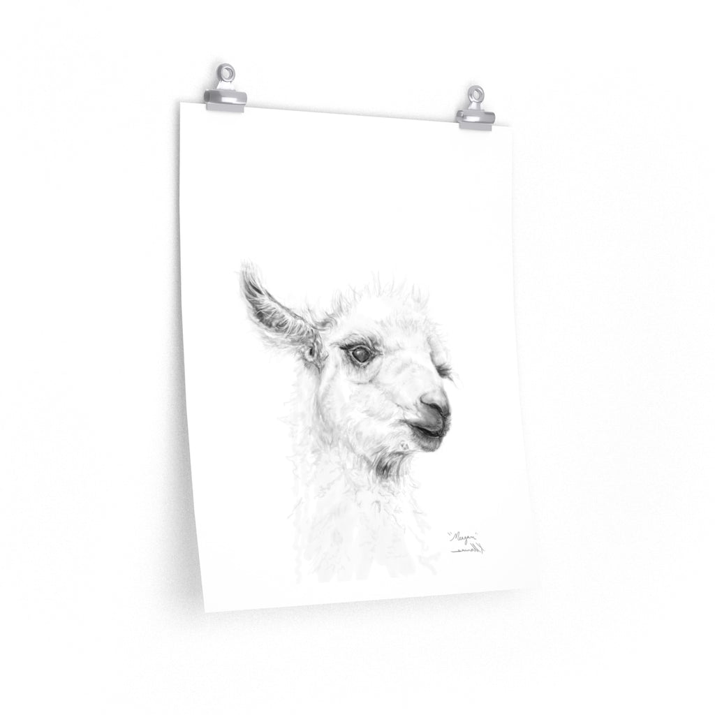 MEAGAN Llama- Art Paper Print