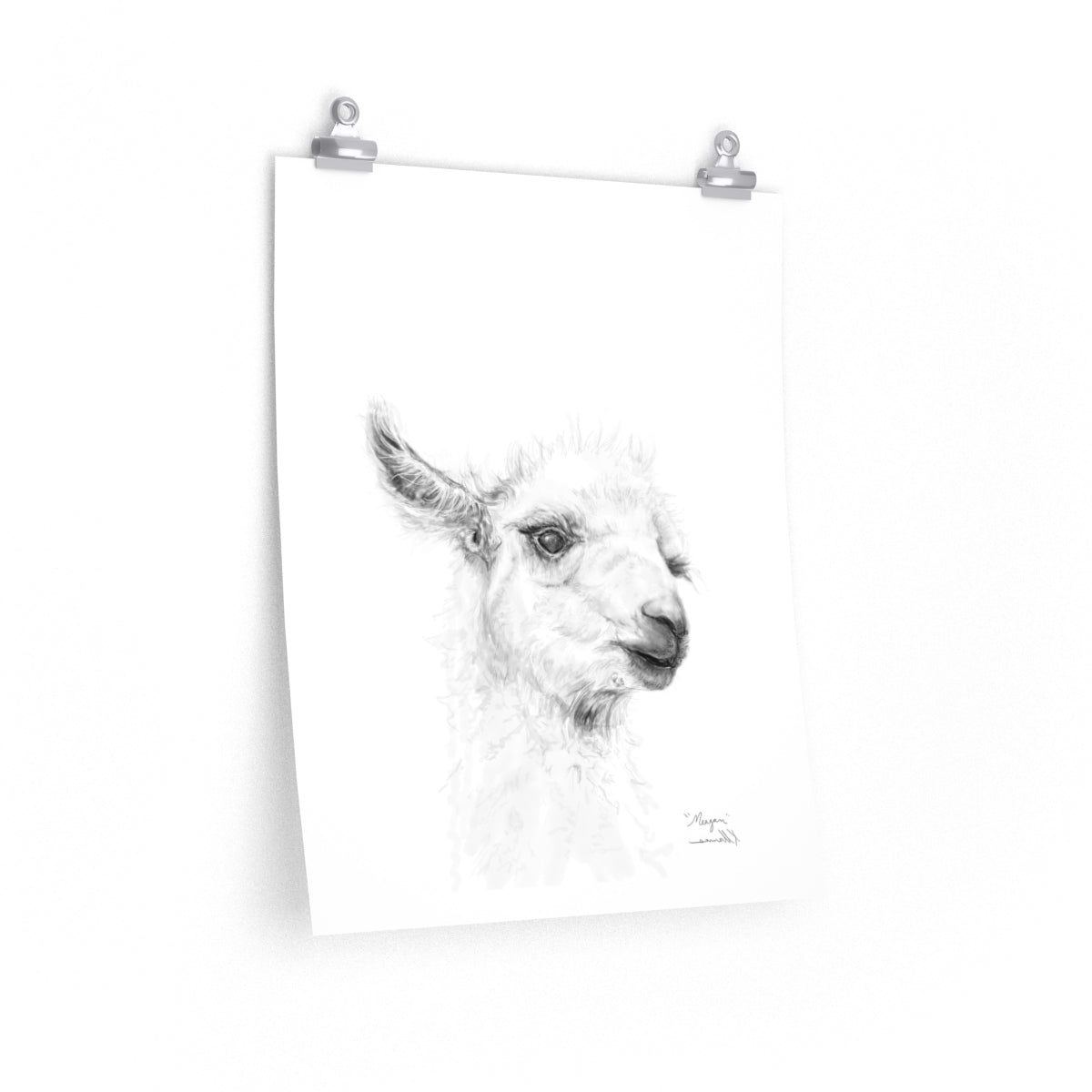 MEAGAN Llama- Art Paper Print