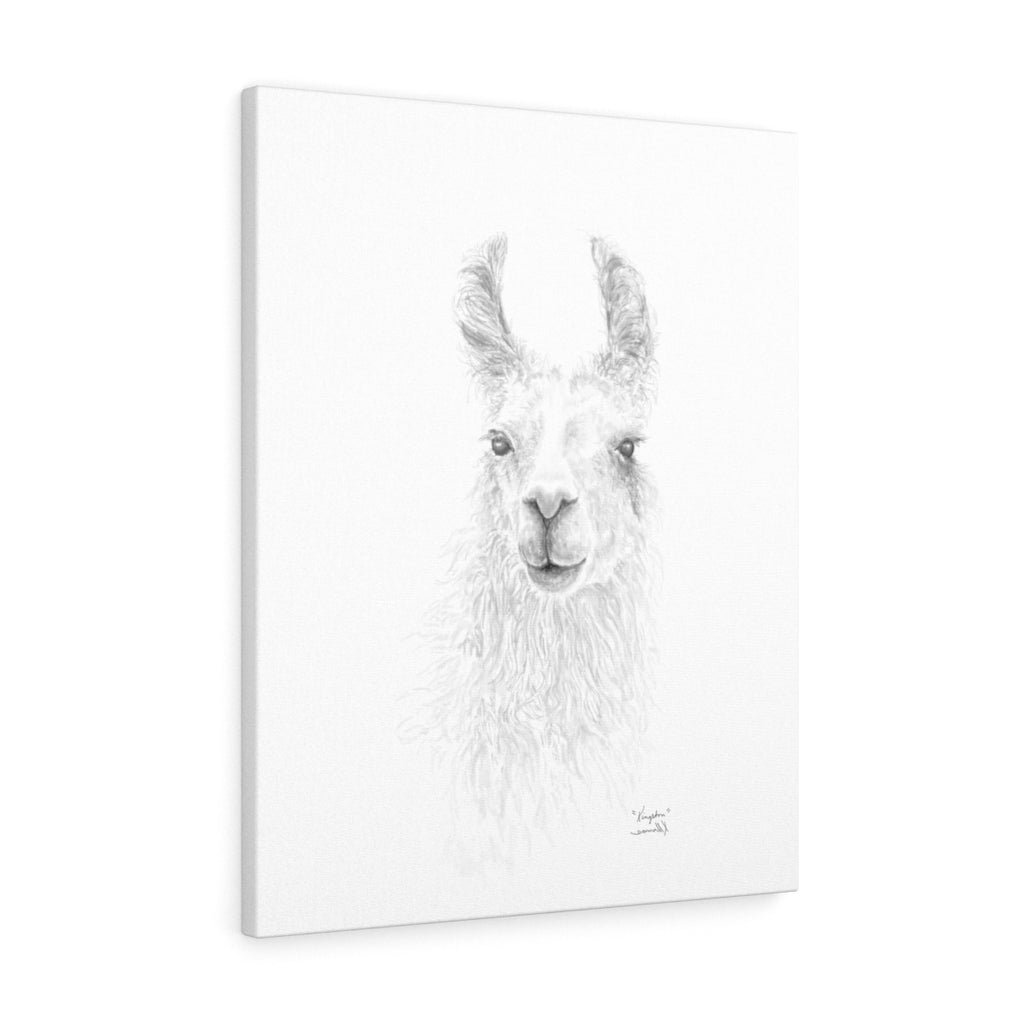 KINGSTON Llama - Art Canvas