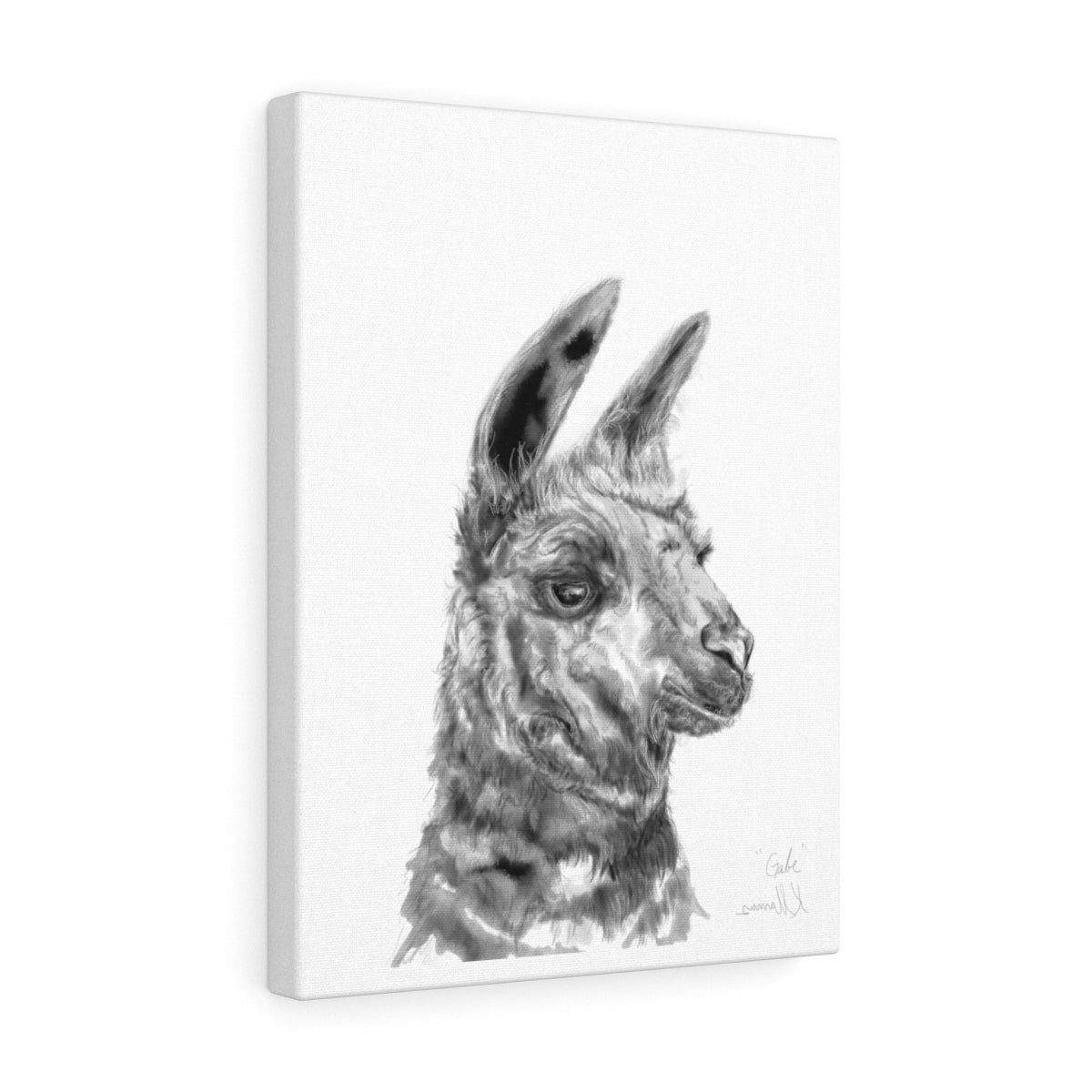 GABE Llama - Art Canvas
