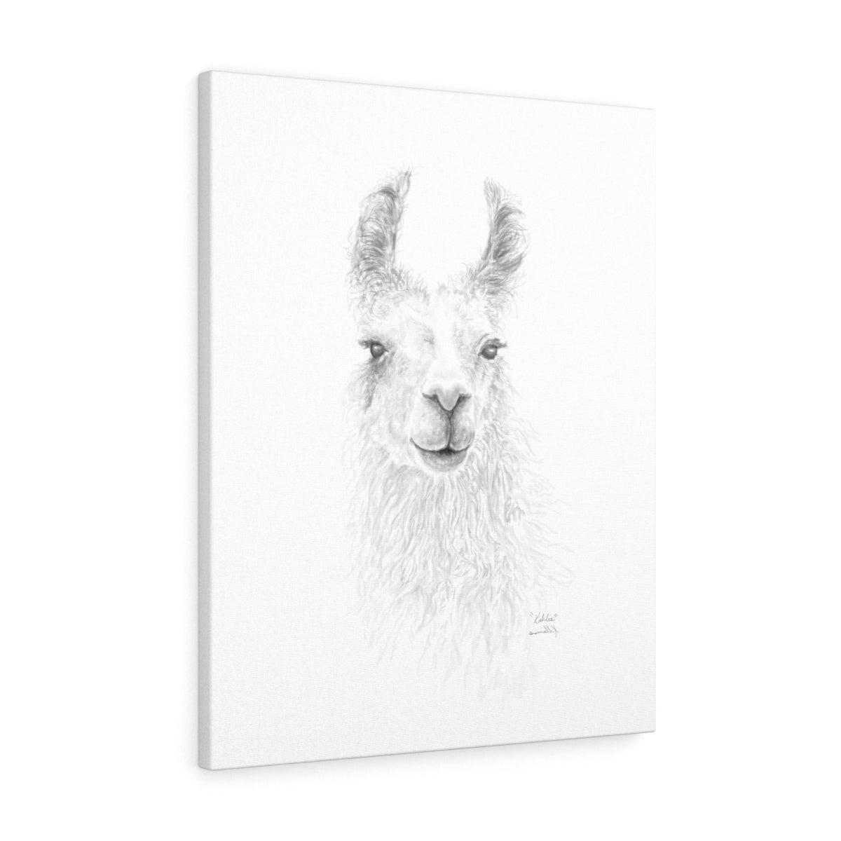 KAHLIE Llama - Art Canvas